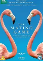  Брачная Игра смотреть онлайн сериал 1 сезон 